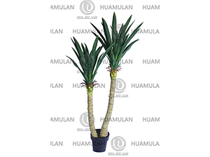 ������(135CM)