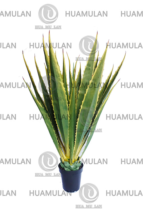 ������(23-160CM)