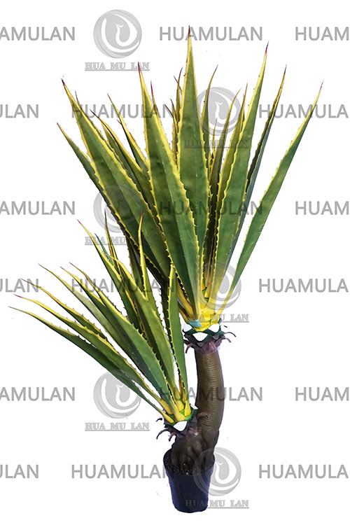 ������(39-200CM)