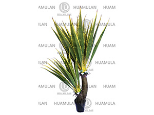 ������(39-200CM)