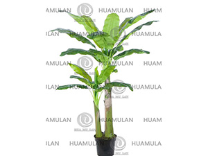 688201-�Ž���-(2-250CM)