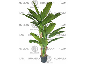 688202-�Ž���-(3-240CM)