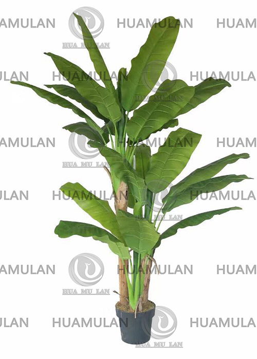 688202-�Ž���-(3-240CM)