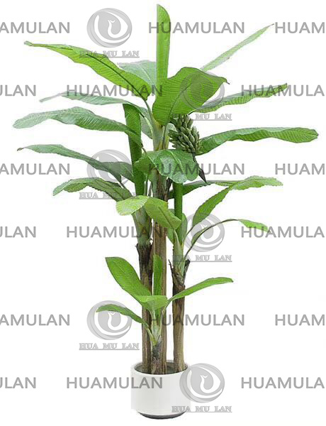 688204-�㽶��3��-(32-250CM)