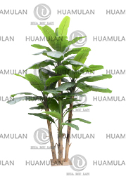 688205-�Ž���5�� -(65-350CM)