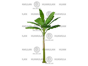 688302-�Ž���-(9-260CM)