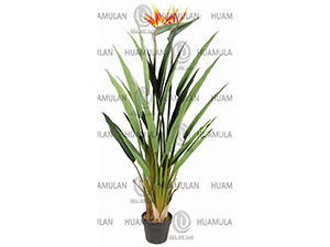 688401-�Ž���-(160CM)