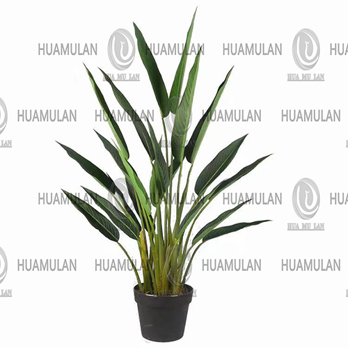 688402-���˽�-(3-160CM)