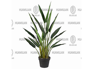 688402-���˽�-(3-160CM)