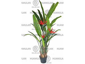 688403-������-(170CM)