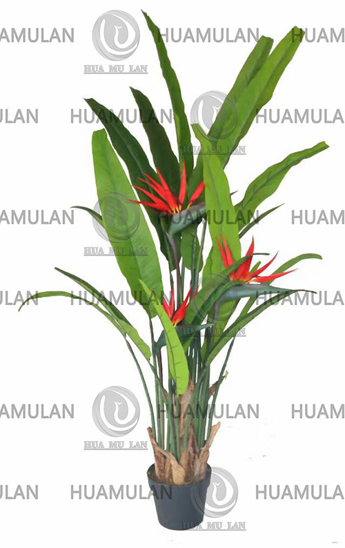 688403-������-(170CM)