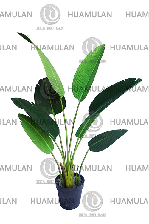 688501-���˽�-(8-120CM)