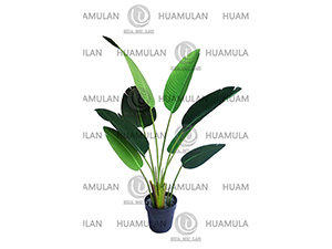 688501-���˽�-(8-120CM)