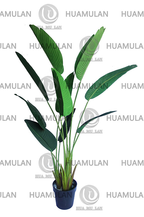 688502-���˽�-(10-160CM)