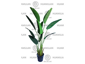 688502-���˽�-(10-160CM)