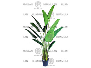 688503-���˽�-(13-180CM)