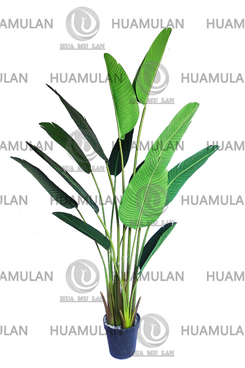 688503-���˽�-(13-180CM)