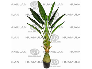 688601-���˽�-(210CM)