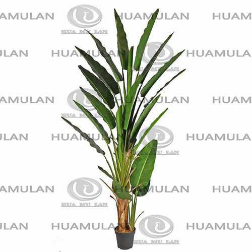 688602-���˽�-(240CM)