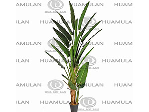 688602-���˽�-(240CM)