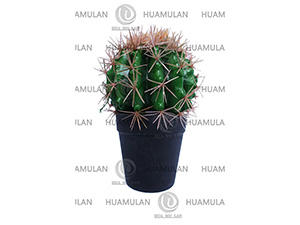 638201-������-(1-15CM)