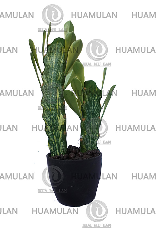 ������-(2-36CM)