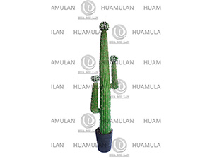 ������-(3-158CM)