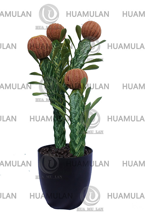 ������-(4-60)