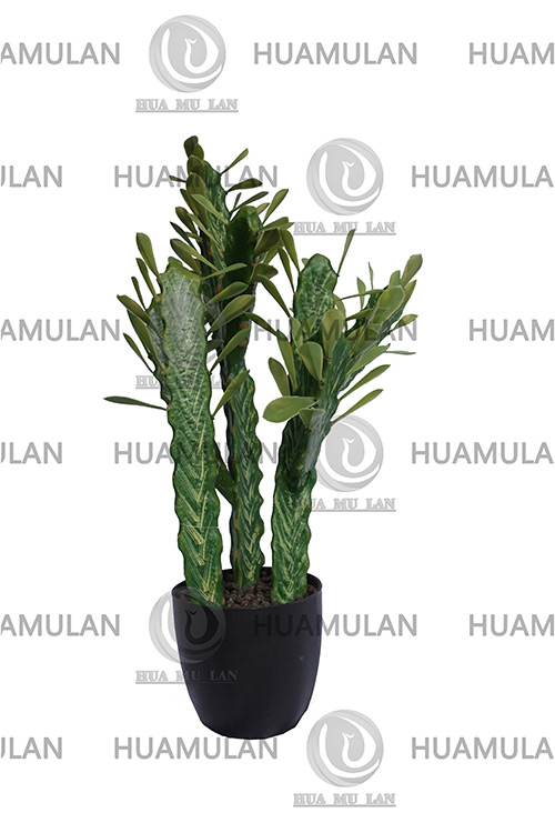 ������-(8-75CM)