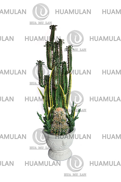 ������-(10-160CM)