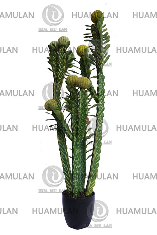 ������-(13-130CM)