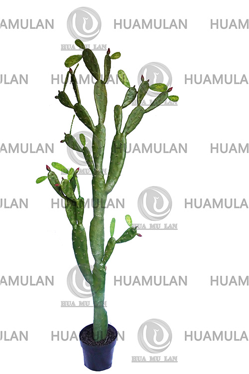 ������-(27-213CM)