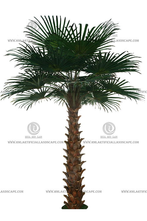 ��ʢ������� 