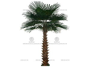 ��ʢ������� 