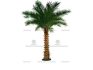 ��ʢ��Ҭ��