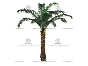 �ж�������