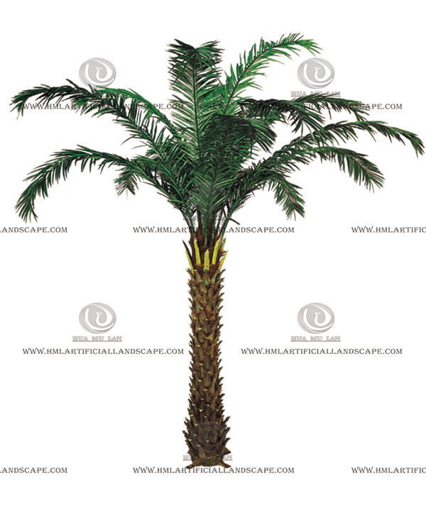 �ж�������