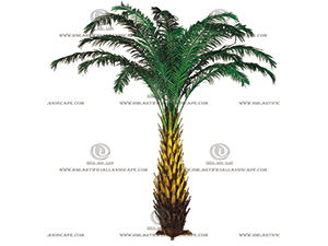 �ж�������