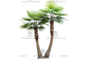 С�������