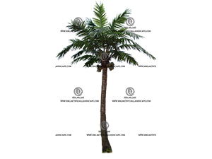 ������Ҭ��