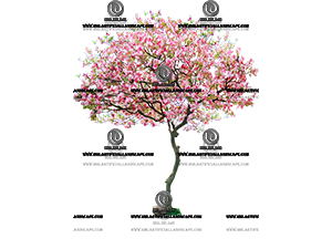 ����ӣ����