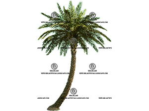 �ж�������