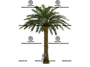 �ж�������