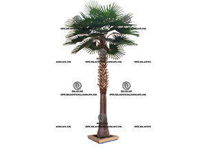 ��ʢ�������