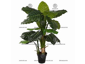 ��ˮ����