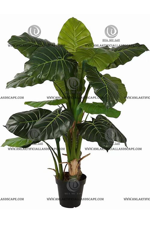 ��ˮ����