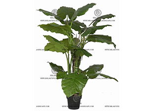 ��ˮ����