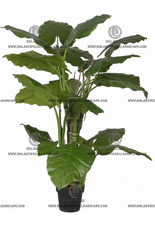 ��ˮ����