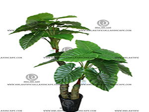 ��ˮ����