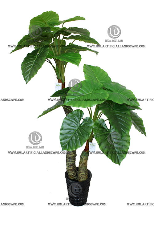 ��ˮ����